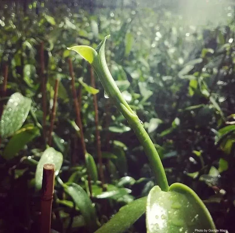 Aloha State Bake Shop [preorder&pick up only] - Photo 3 of 6 | NateEatsHawaii restaurant gallery and food photos from Oahu, Hawaii