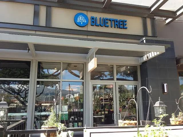 Bluetree Cafe Kapiolani - Cafe on Oahu, Hawaii | NateEatsHawaii food review and recommendations