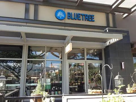 Bluetree Cafe Kapiolani - Photo 2 of 4 | NateEatsHawaii restaurant gallery and food photos from Oahu, Hawaii