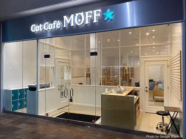 Cat Café MOFF Pearlridge Center - Cat Cafe on Oahu, Hawaii | NateEatsHawaii food review and recommendations