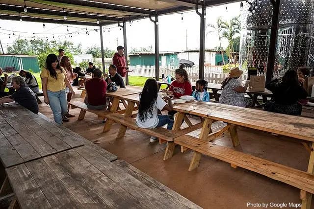 This Lil Piggy - Restaurant on Oahu, Hawaii | NateEatsHawaii food review and recommendations