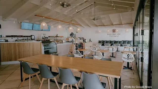 Hala Tree Cafe - Cafe on Oahu, Hawaii | NateEatsHawaii food review and recommendations