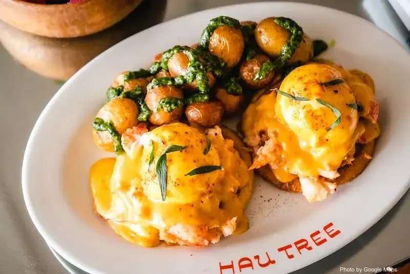 Hau Tree - Photo 2 of 6 | NateEatsHawaii restaurant gallery and food photos from Oahu, Hawaii