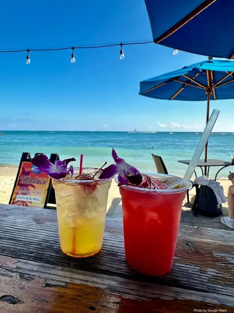 Koa Oasis Booze Shack - Photo 3 of 6 | NateEatsHawaii restaurant gallery and food photos from Oahu, Hawaii