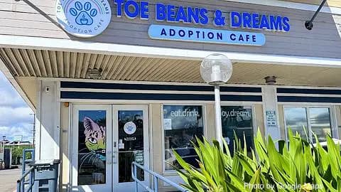 Toe Beans & Dreams Adoption Cafe - Photo 2 of 4 | NateEatsHawaii restaurant gallery and food photos from Oahu, Hawaii