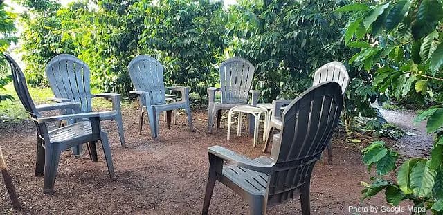 Green World Coffee Farm - Cafe on Oahu, Hawaii | NateEatsHawaii food review and recommendations