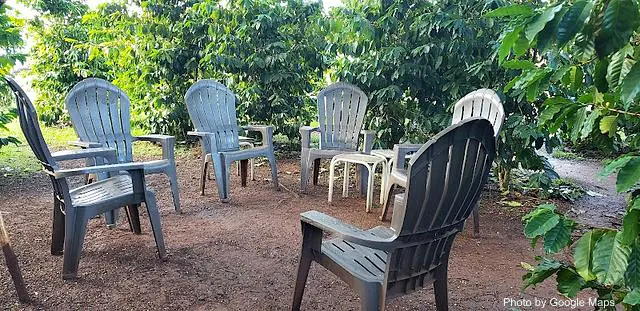 Green World Coffee Farm